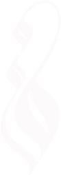 qaf01